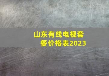 山东有线电视套餐价格表2023