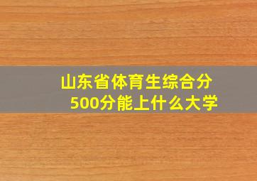 山东省体育生综合分500分能上什么大学