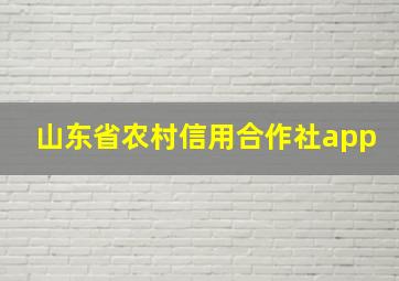 山东省农村信用合作社app