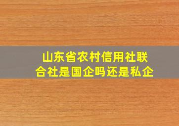 山东省农村信用社联合社是国企吗还是私企