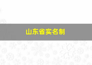 山东省实名制