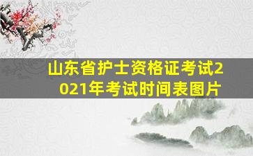 山东省护士资格证考试2021年考试时间表图片