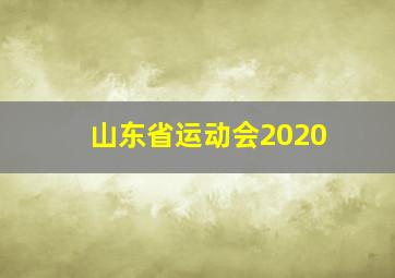 山东省运动会2020