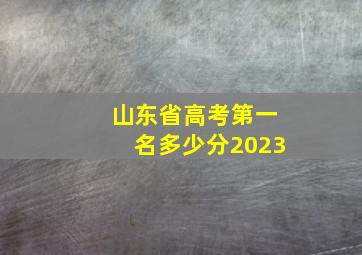 山东省高考第一名多少分2023