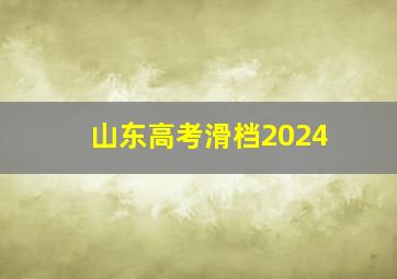 山东高考滑档2024