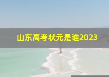 山东高考状元是谁2023