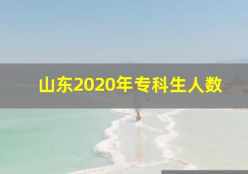 山东2020年专科生人数