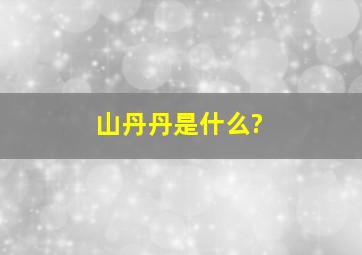 山丹丹是什么?