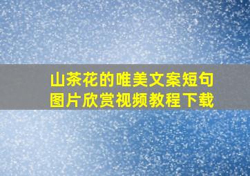 山茶花的唯美文案短句图片欣赏视频教程下载