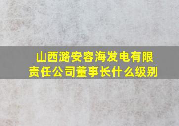 山西潞安容海发电有限责任公司董事长什么级别