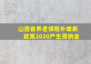 山西省养老保险补缴新政策2020产生滞纳金