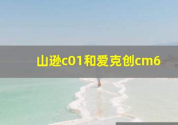 山逊c01和爱克创cm6