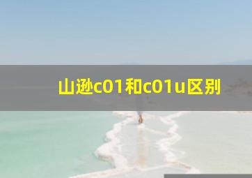 山逊c01和c01u区别