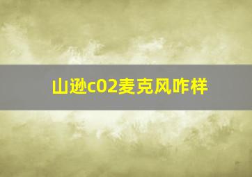 山逊c02麦克风咋样