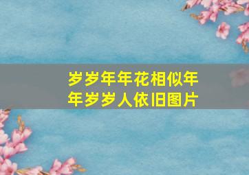 岁岁年年花相似年年岁岁人依旧图片