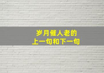 岁月催人老的上一句和下一句