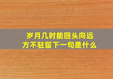 岁月几时能回头向远方不驻留下一句是什么