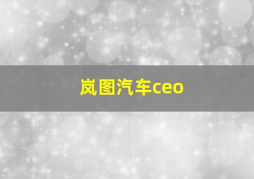 岚图汽车ceo