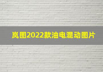 岚图2022款油电混动图片