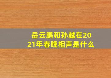 岳云鹏和孙越在2021年春晚相声是什么