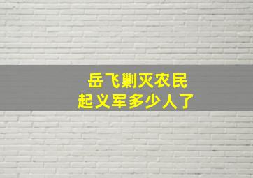 岳飞剿灭农民起义军多少人了