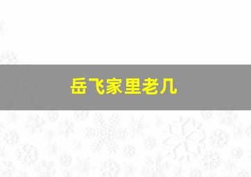 岳飞家里老几