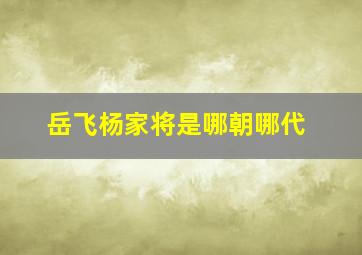 岳飞杨家将是哪朝哪代