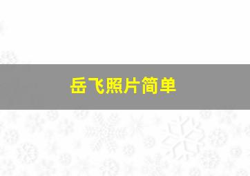 岳飞照片简单