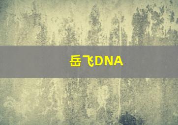 岳飞DNA