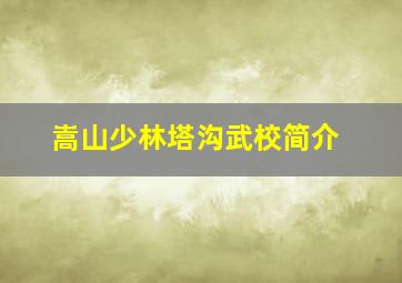 嵩山少林塔沟武校简介