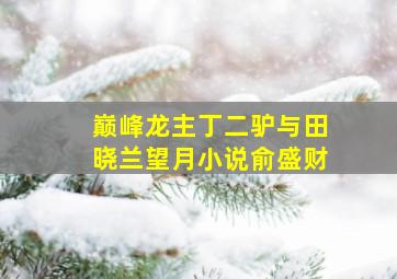 巅峰龙主丁二驴与田晓兰望月小说俞盛财