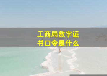 工商局数字证书口令是什么