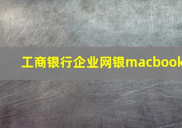 工商银行企业网银macbook