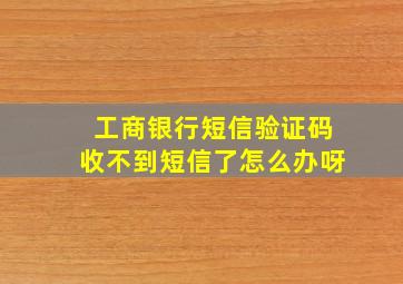 工商银行短信验证码收不到短信了怎么办呀