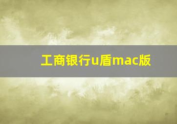 工商银行u盾mac版