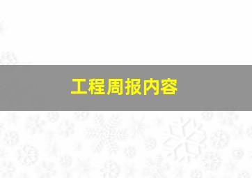 工程周报内容