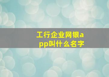 工行企业网银app叫什么名字