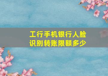 工行手机银行人脸识别转账限额多少