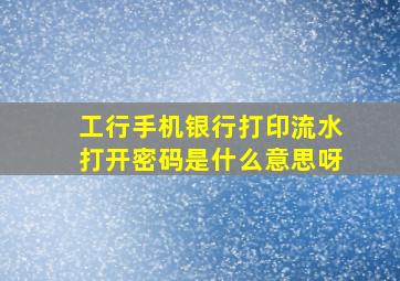 工行手机银行打印流水打开密码是什么意思呀