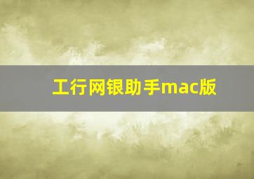 工行网银助手mac版