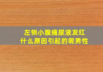 左侧小腹痛尿液发红什么原因引起的呢男性