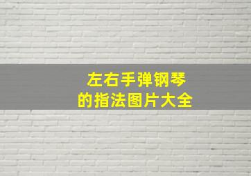 左右手弹钢琴的指法图片大全