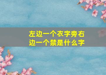 左边一个衣字旁右边一个禁是什么字