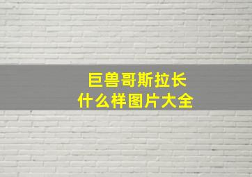 巨兽哥斯拉长什么样图片大全