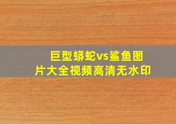 巨型蟒蛇vs鲨鱼图片大全视频高清无水印