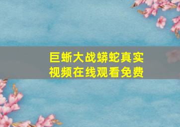 巨蜥大战蟒蛇真实视频在线观看免费