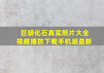 巨蟒化石真实照片大全视频播放下载手机版最新