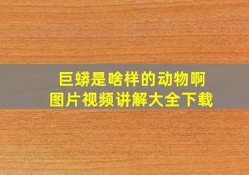 巨蟒是啥样的动物啊图片视频讲解大全下载