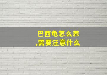 巴西龟怎么养,需要注意什么