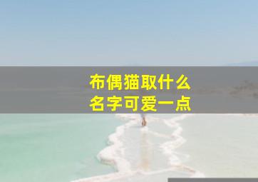 布偶猫取什么名字可爱一点